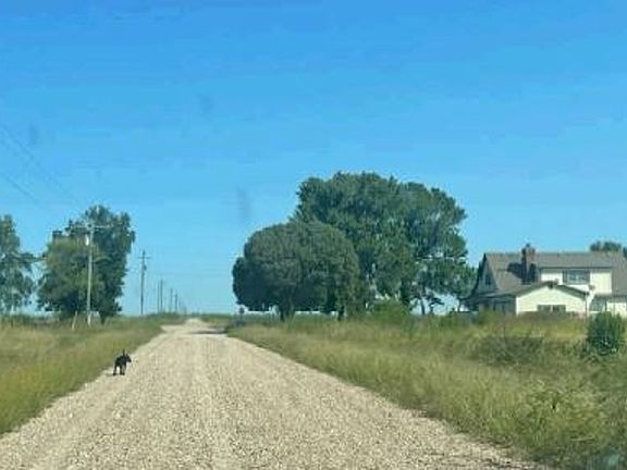 Exterior Neighborhood (street photo)