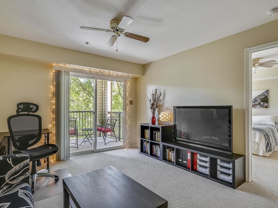 Light-filled living room
