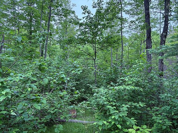 5th image of W15816 Fawn Acres Rd