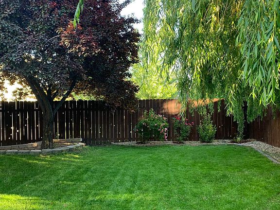 backyard2
