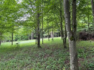 0 Pine Hill Rd #4, Sidney, NY 13838