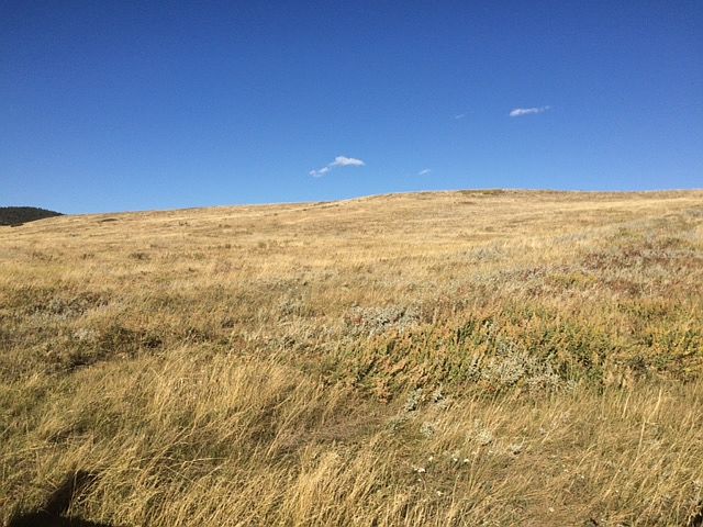 2nd image of Camp Creek Acres Lot 8
