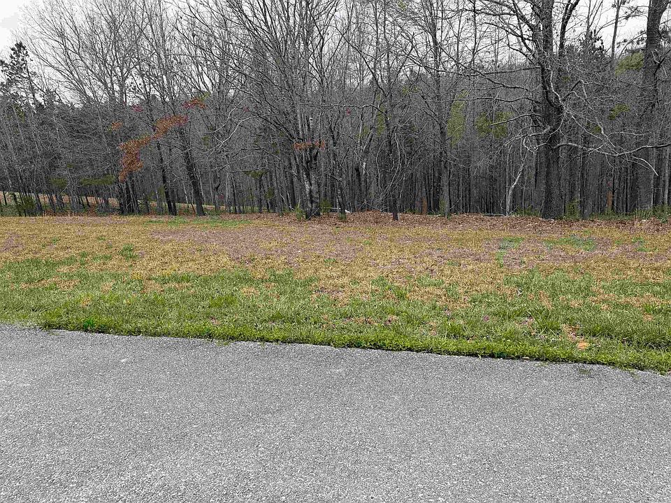 2nd image of 0 Caddy Cove Ln Lot 35