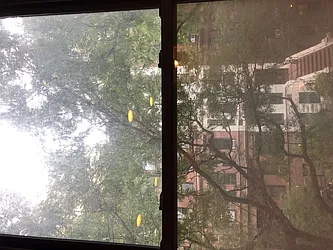 Rented by One New York Realty Inc