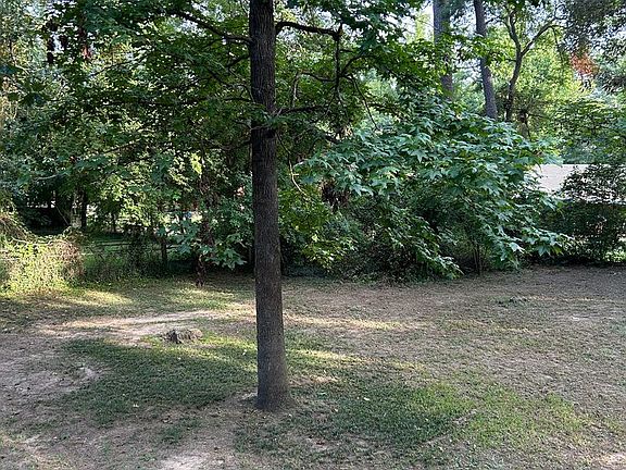 5th image of 1101 Delwood Dr