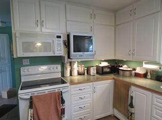 203 James St, Buena Vista, CO 81211