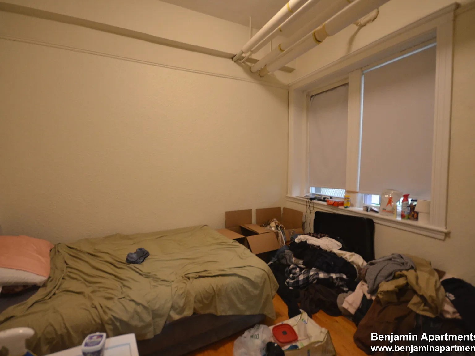 1 bed, $2,250 — Photo 4
