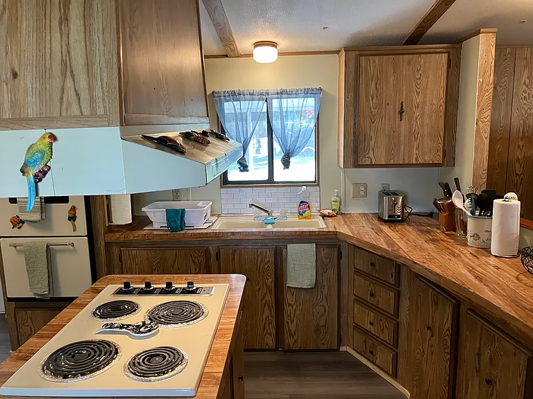 1228 Chokoloskee Dr — Photo 17