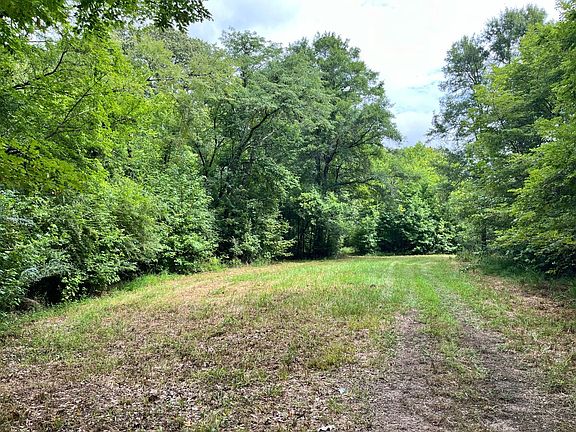 Food Plot Surrounded by Mature Hardwood