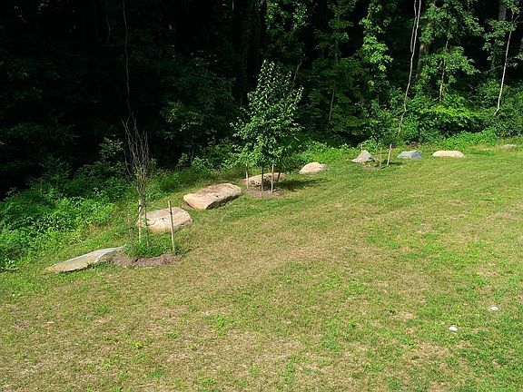 Spacious backyard maintained by Owner