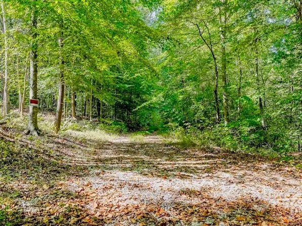 0 Bolestown Rd #Loop_-lot 1, Alpine, TN 38543