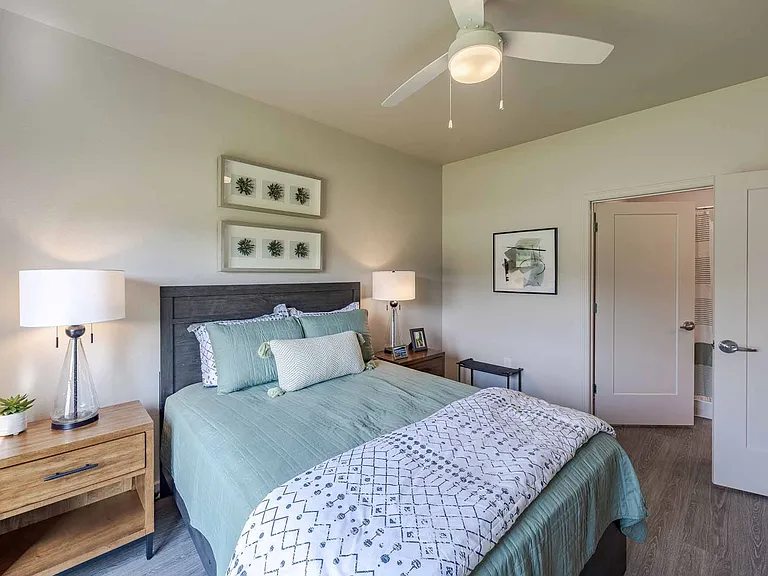Ovation Apartments — Photo 7