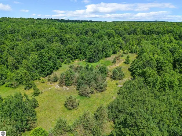 6320 N Morey Rd, Lake City, MI 49651