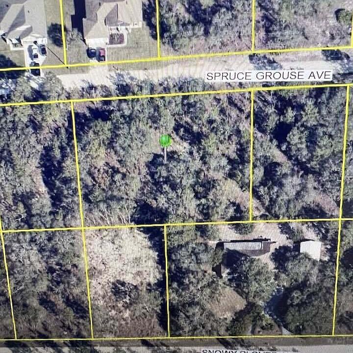 2nd image of 13210 Spruce Grouse Ave
