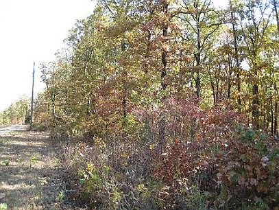 2nd image of Ponderosa Dr