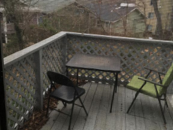 Outdoor deck off of kitchen. Back yard is fenced in.