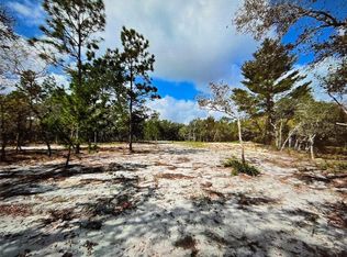 13100 Saddleback Trl, Hudson, FL 34667