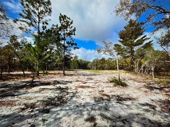 13100 SADDLEBACK TRAIL, HUDSON, FL 34667