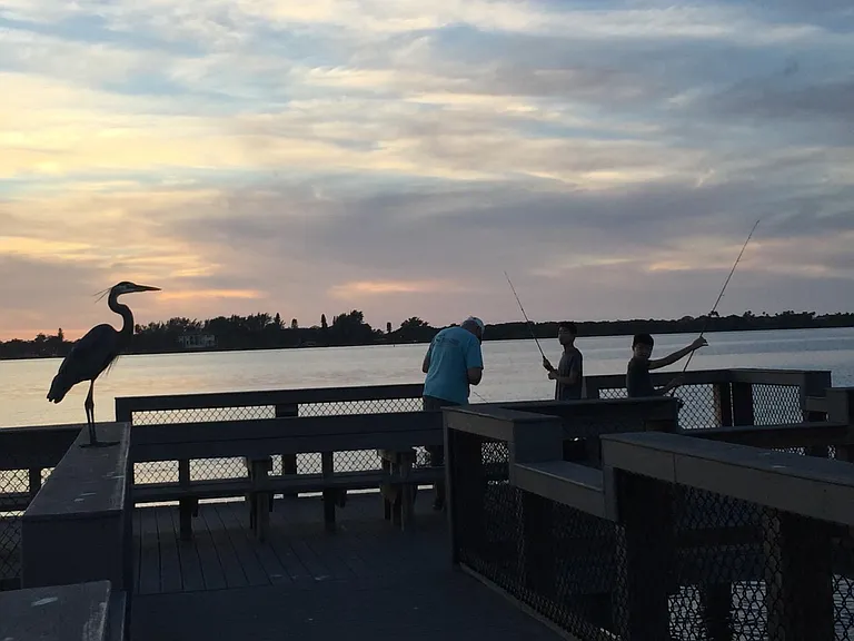 Great fishing spot