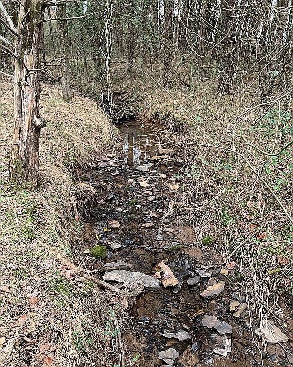 2nd image of 7600 Chastain Rd