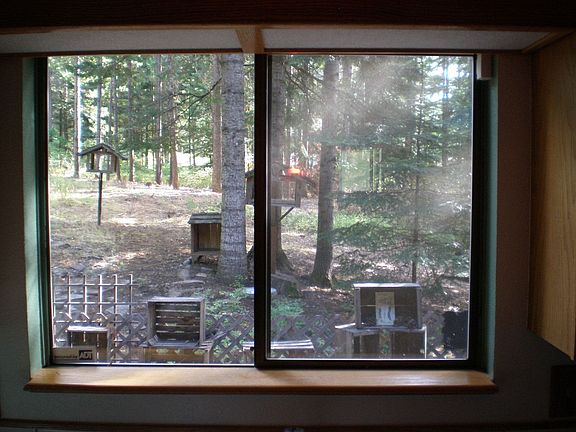 Kitchen Window