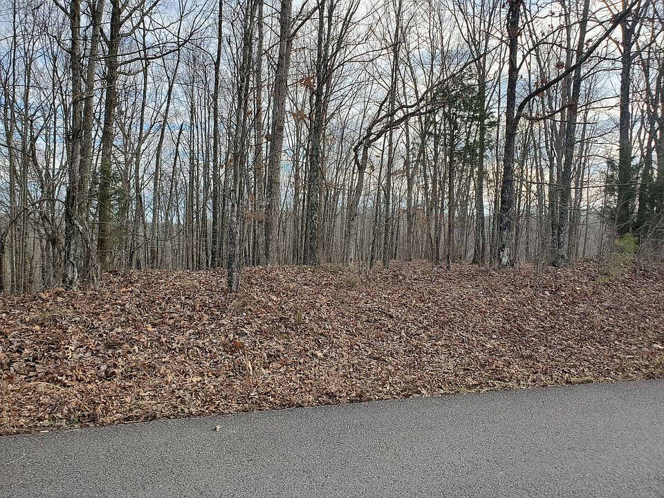 2nd image of 0 Highwater Lot Trl #8