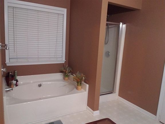 Master Tub & Bath