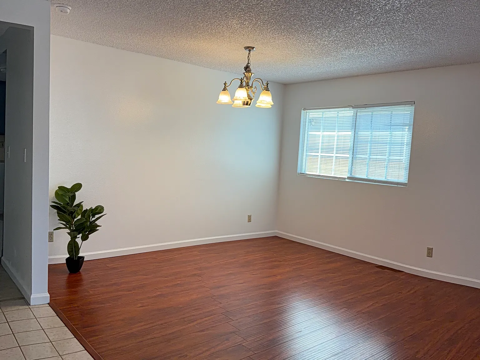 4 bed, 1850 sqft, $4,195 — Photo 4