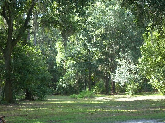 Great site for new home!