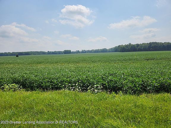2nd image of E Saginaw Hwy