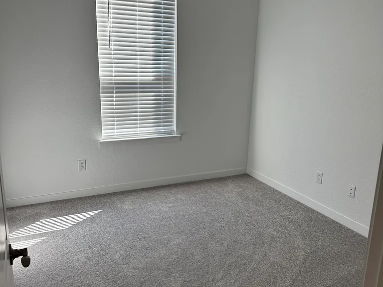 473 Bristlecone Bnd — Photo 22