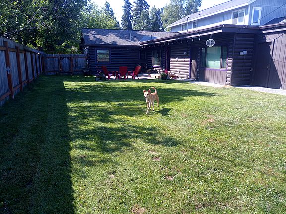 Back yard