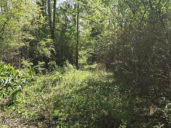 2nd image of 0 Mannings Crossing Rd