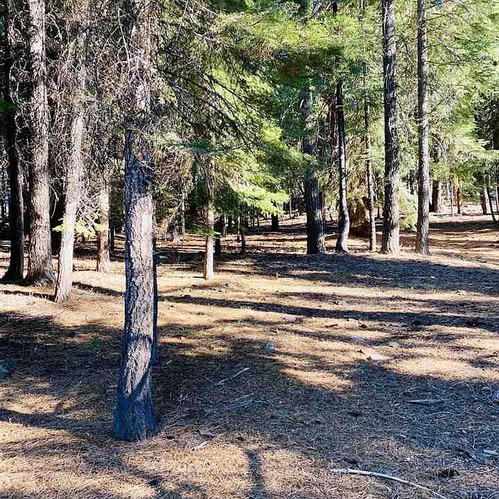 2nd image of 250 Osprey Loop