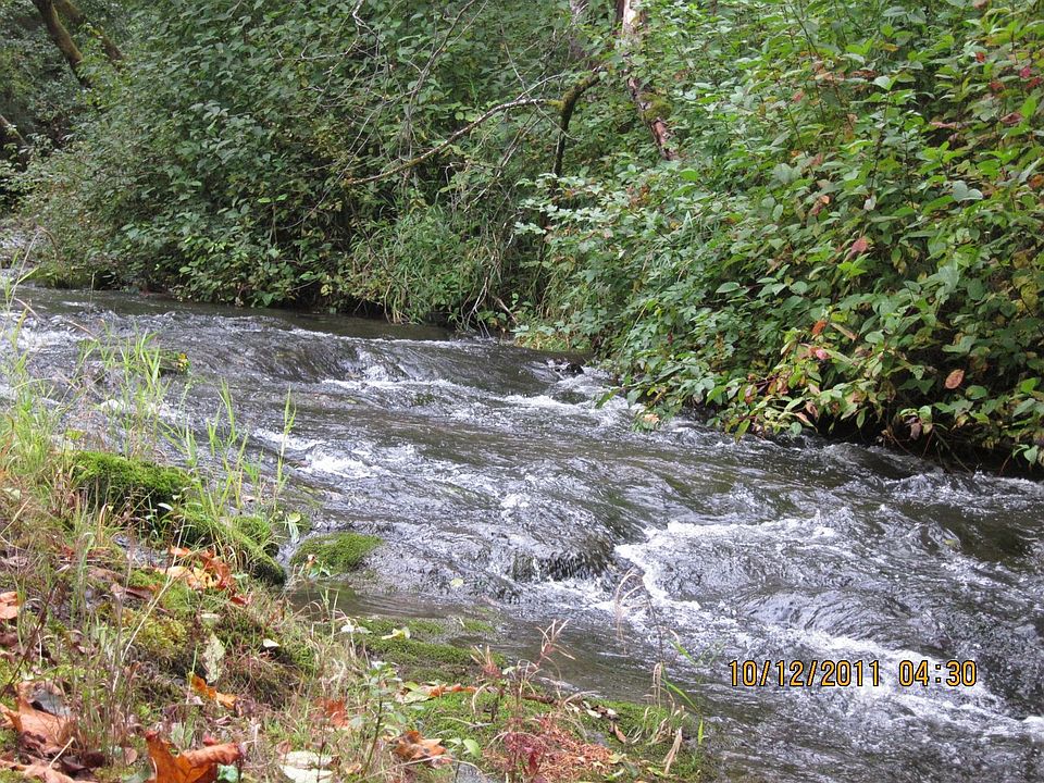 pristine coast creek