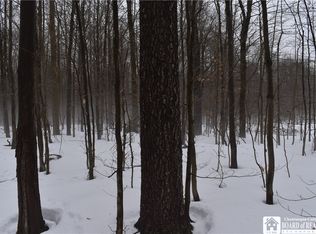 0 Chautauqua & Harris Hl, Gerry, NY 14740