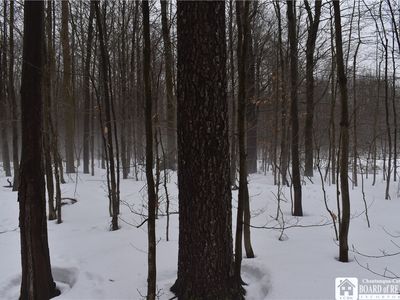 0 Chautauqua & Harris Hl, Gerry, NY, 14740