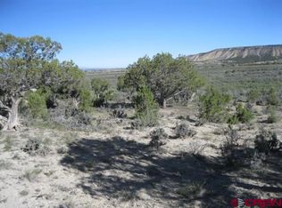 TBD Lot 2 Buckhorn Road, Montrose, CO 81403
