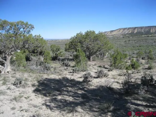 TBD Lot 2 Buckhorn Road, Montrose, CO 81403