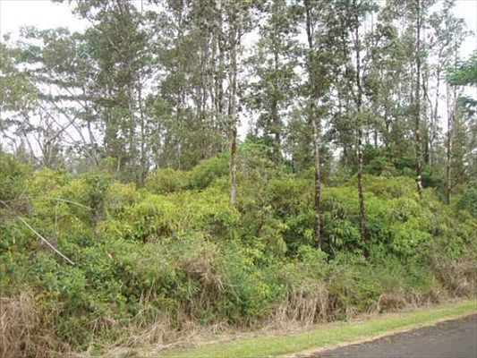 1st image of Sandalwood Ct