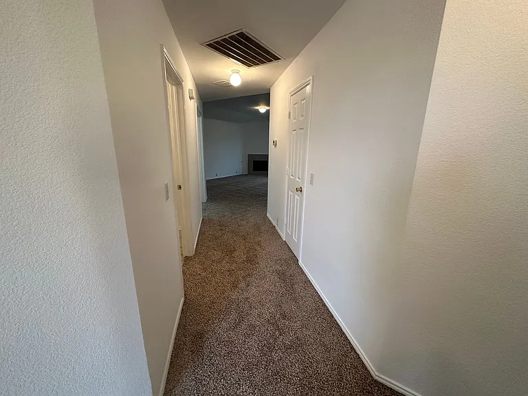 8255 Horse Whisper Ln — Photo 8