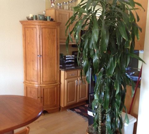 5th image of 186 Shoreline Ct