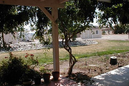 Backyard looking out