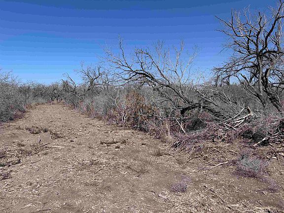 3rd image of Abst 318 Wj Pearce