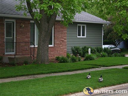 Front Yard