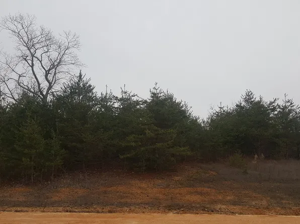 James Ridge Rd, Clifton, TN 38425