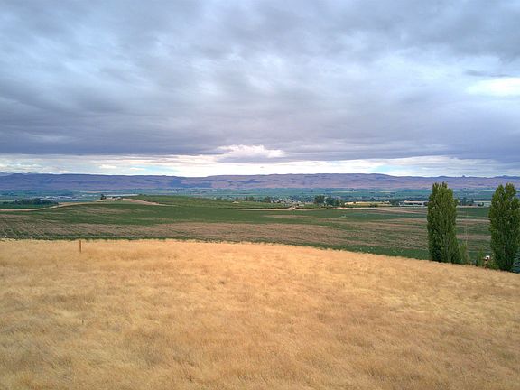 4th image of Homedale Rd