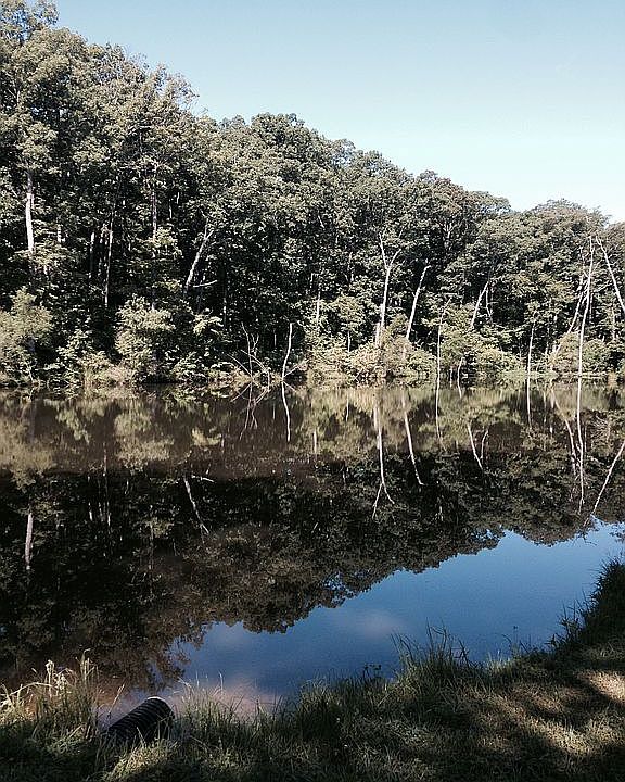 stocked lake
