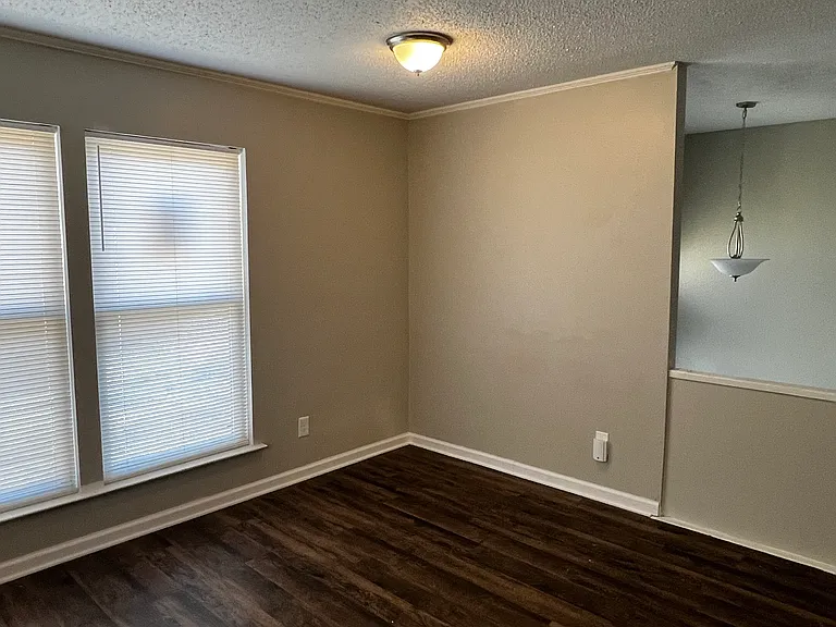 8803 Patricia Lynn Ln — Photo 12