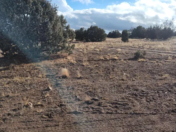 00000 N Deliverace -- #453, Seligman, AZ 86337